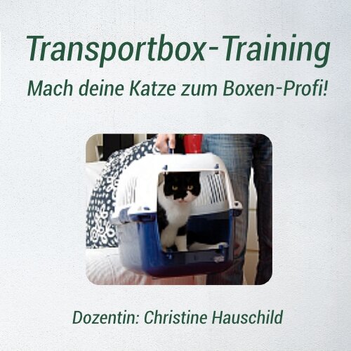 Transportbox Training Katze