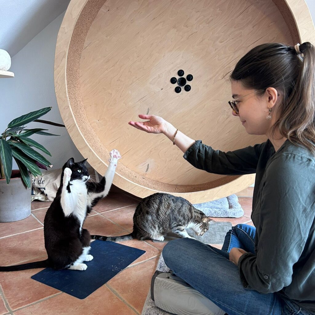 Clickertraining gegen Angst vor Besuch