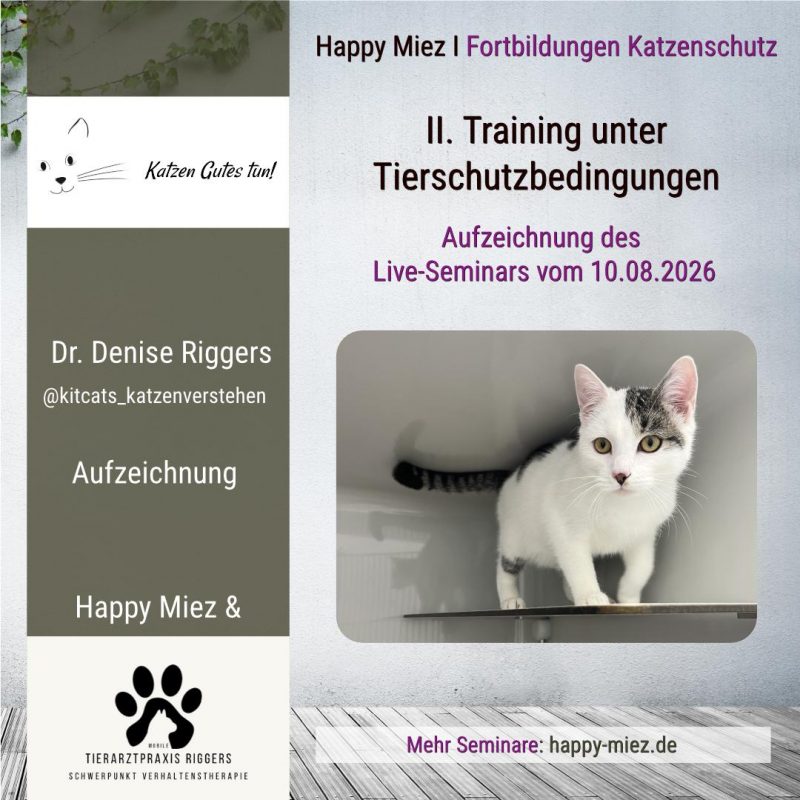 Aufzeichnung Seminar Training Tierschutz Katze