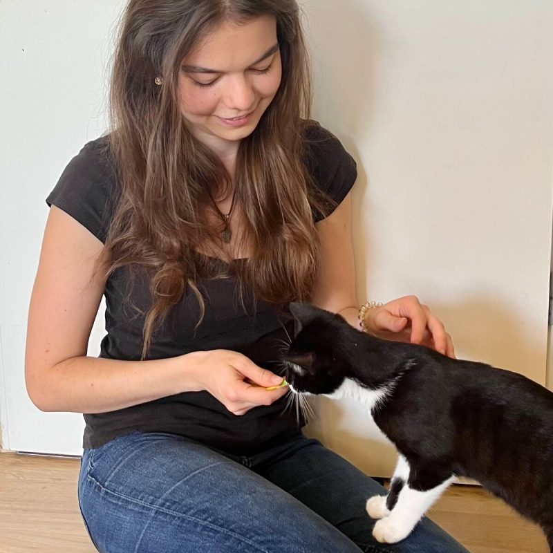 Kontaktaufnahme Katze