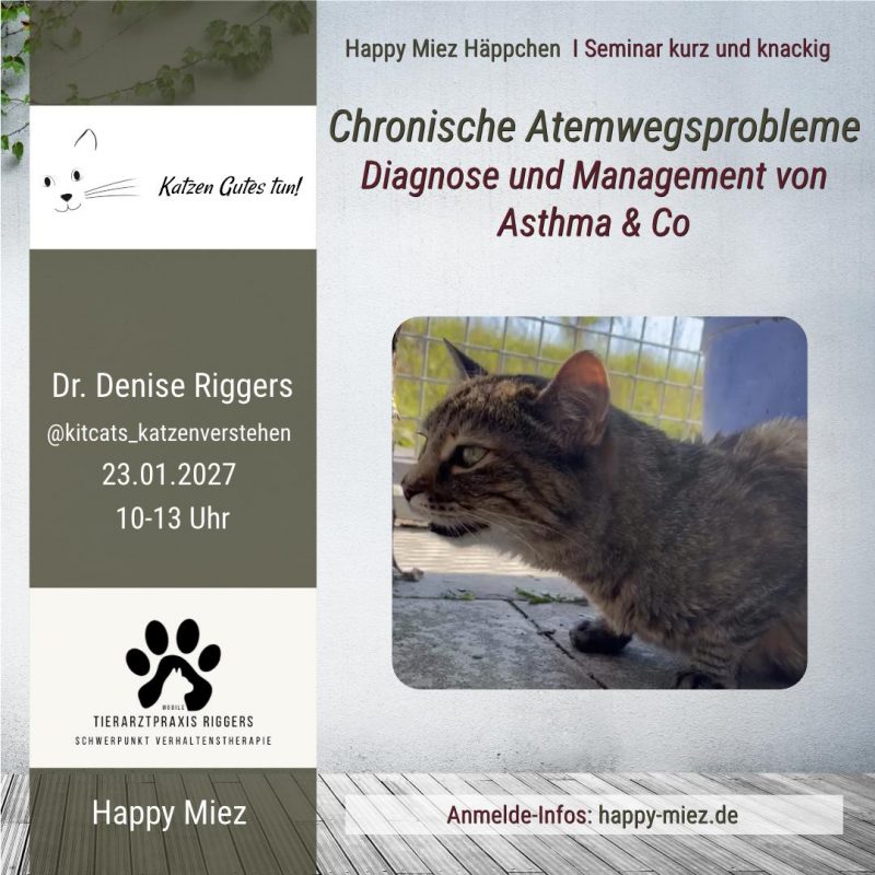 Seminar Atemwegserkrankungen Katze Riggers
