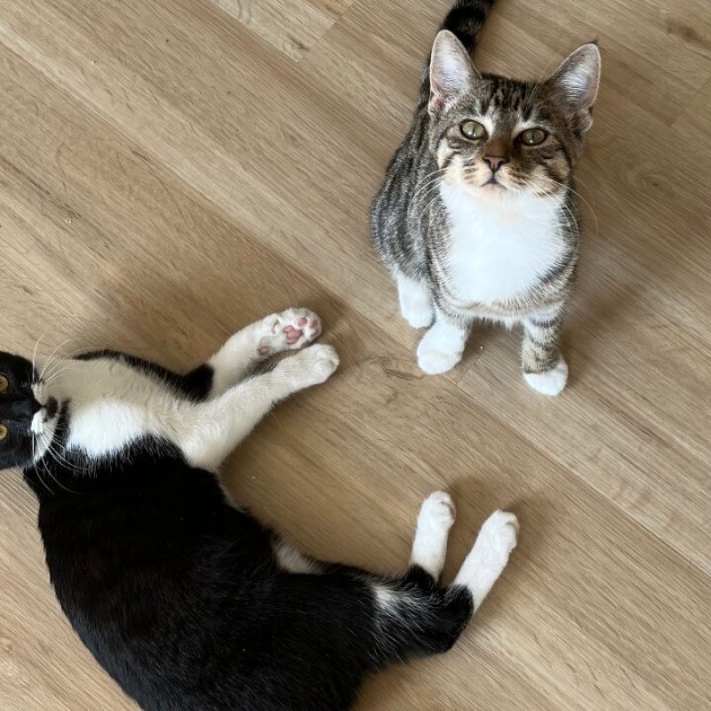 whiskey und tips startseite